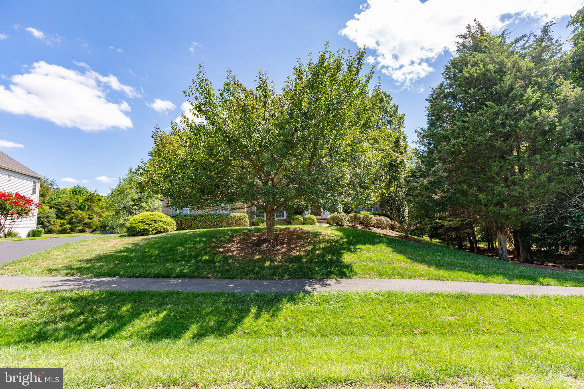 6891 TULIP HILL DRIVE