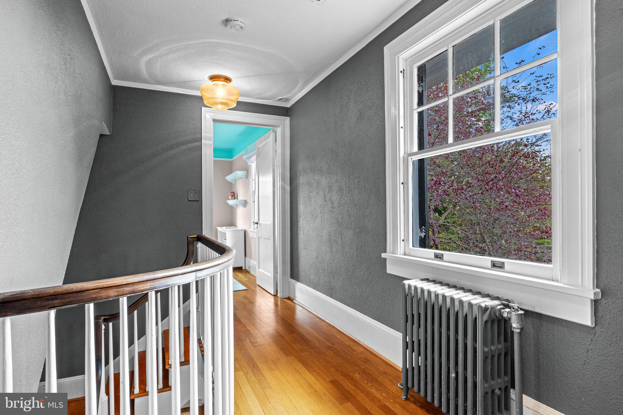246 WINCHESTER STREET