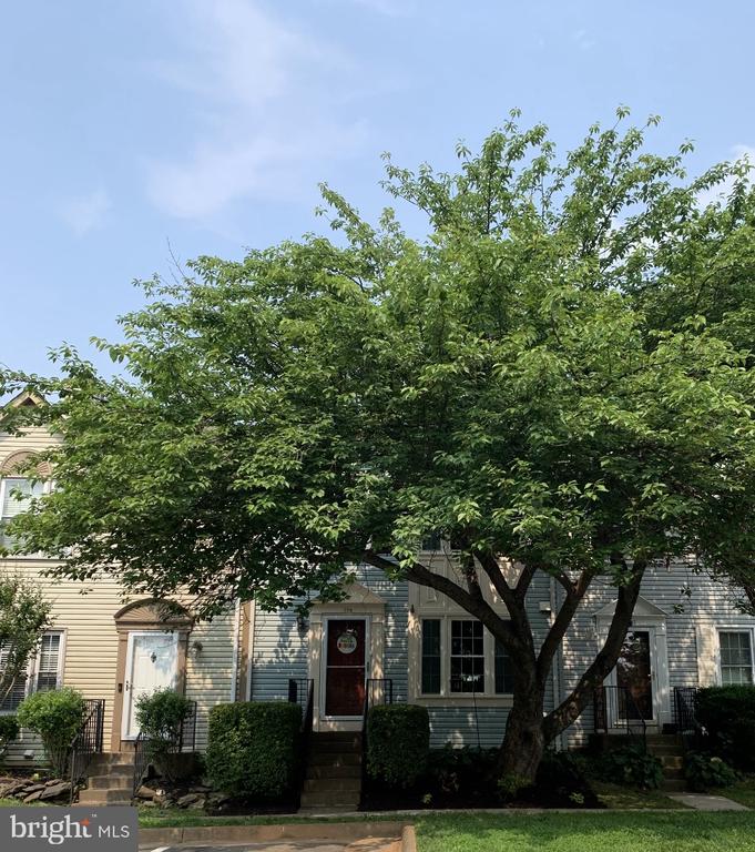 729 ACORN COURT