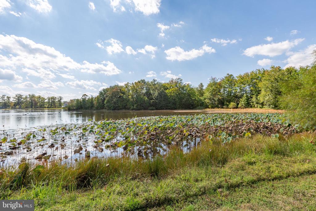 7116 LAKE DRIVE