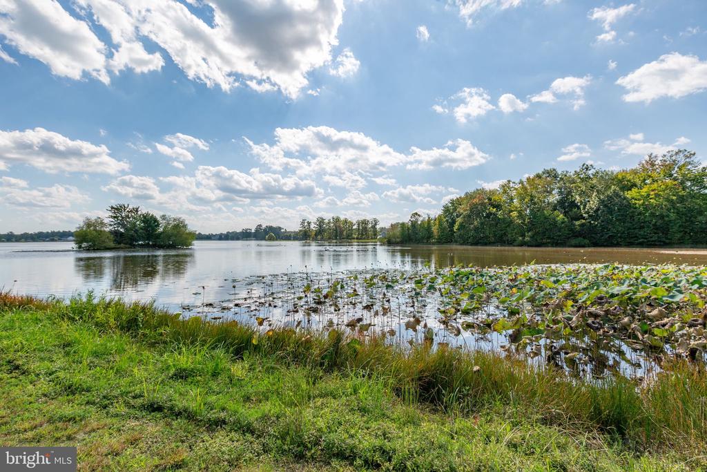 7116 LAKE DRIVE
