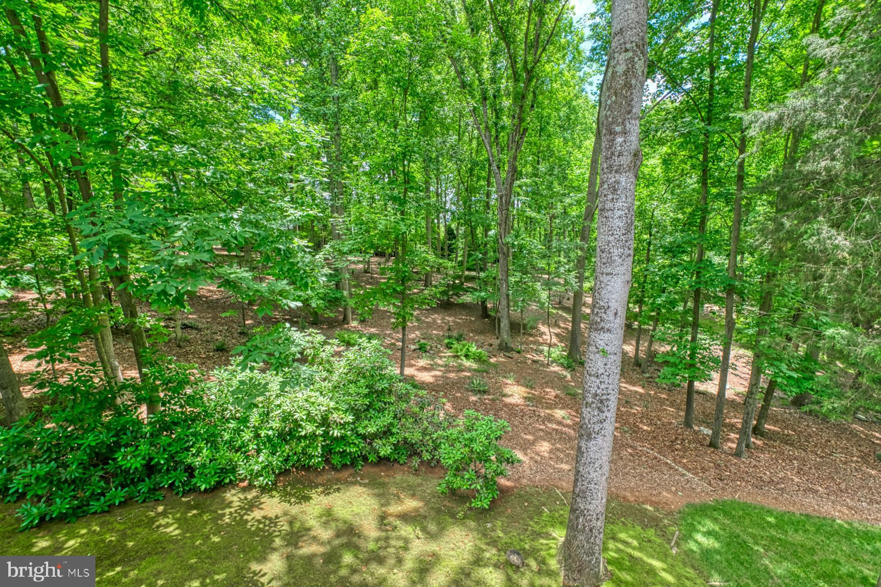 38620 LIME KILN ROAD