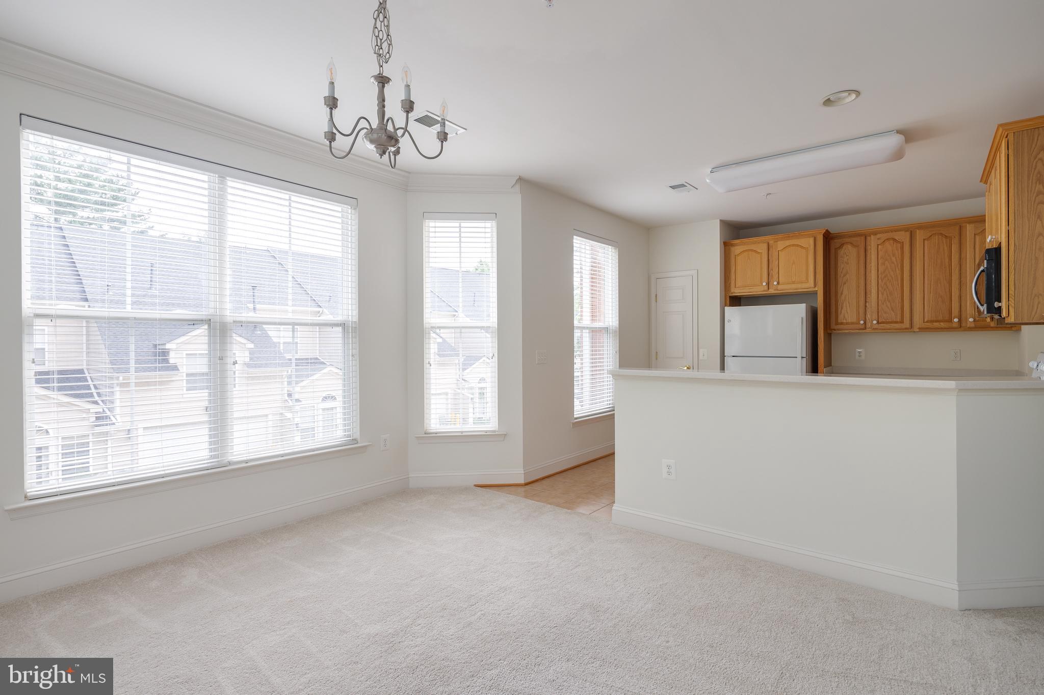 8600 LIBERTY TRAIL 206