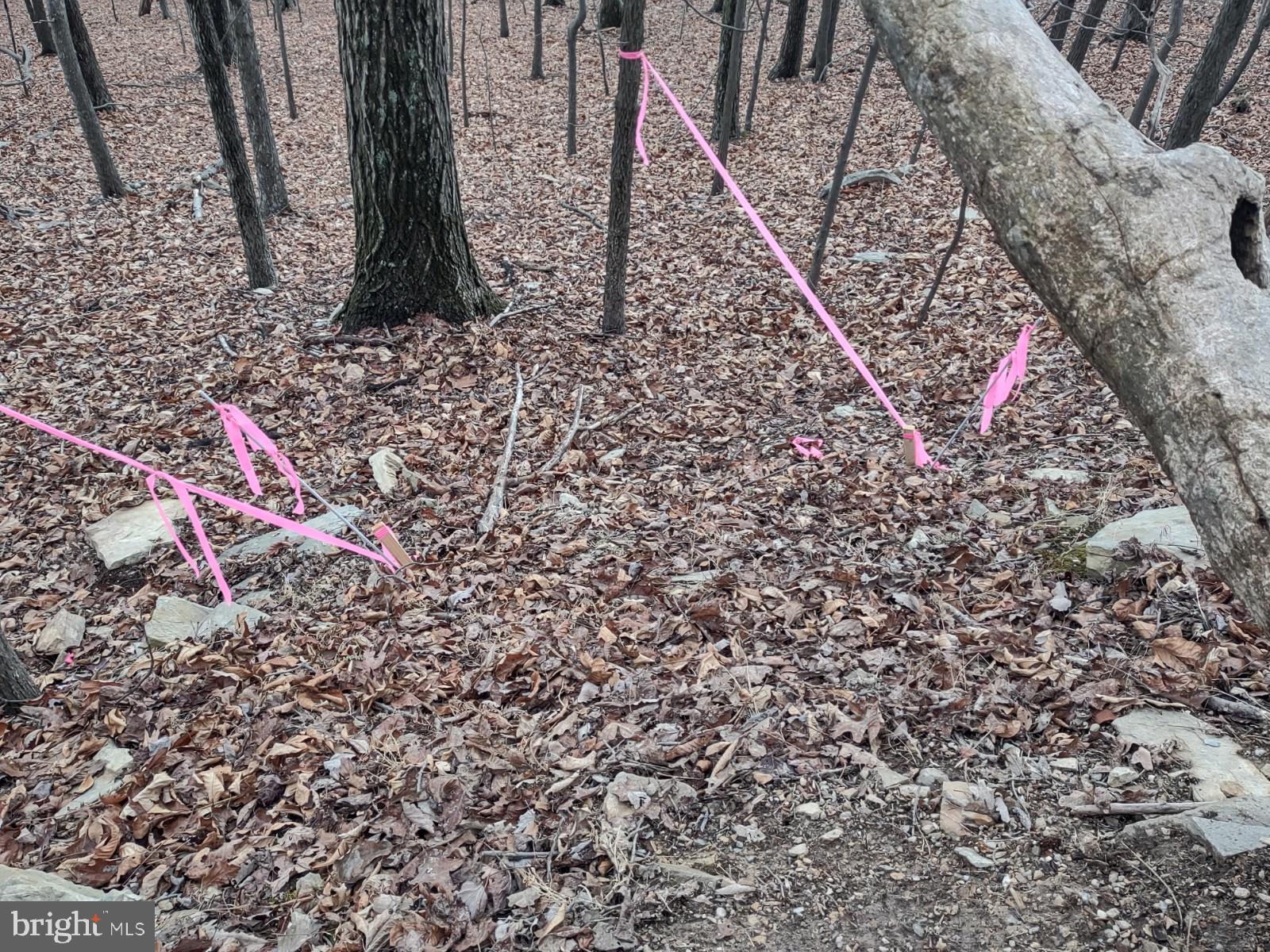 2201 & 2203 LOOKOUT ROAD