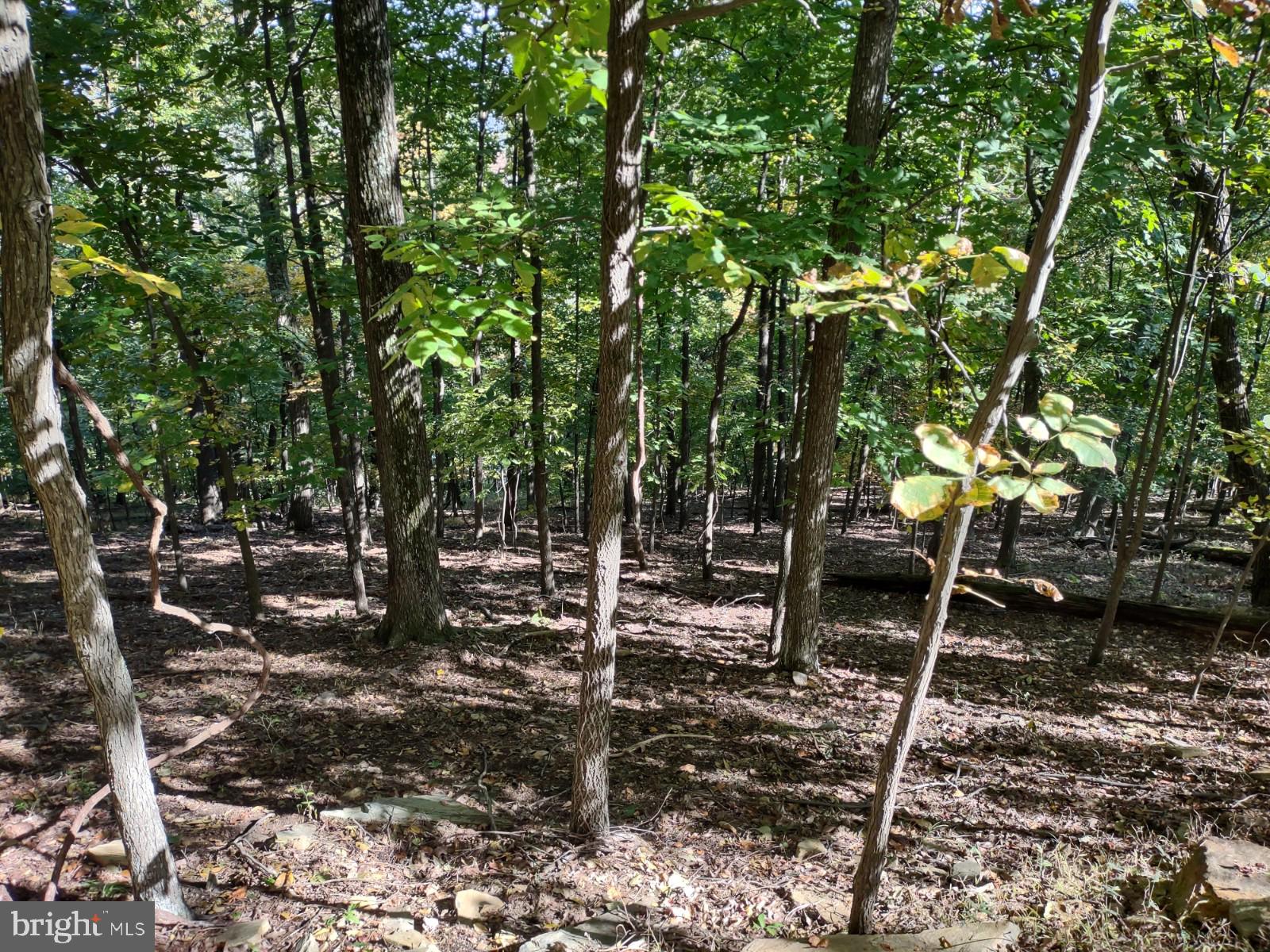 2201 & 2203 LOOKOUT ROAD