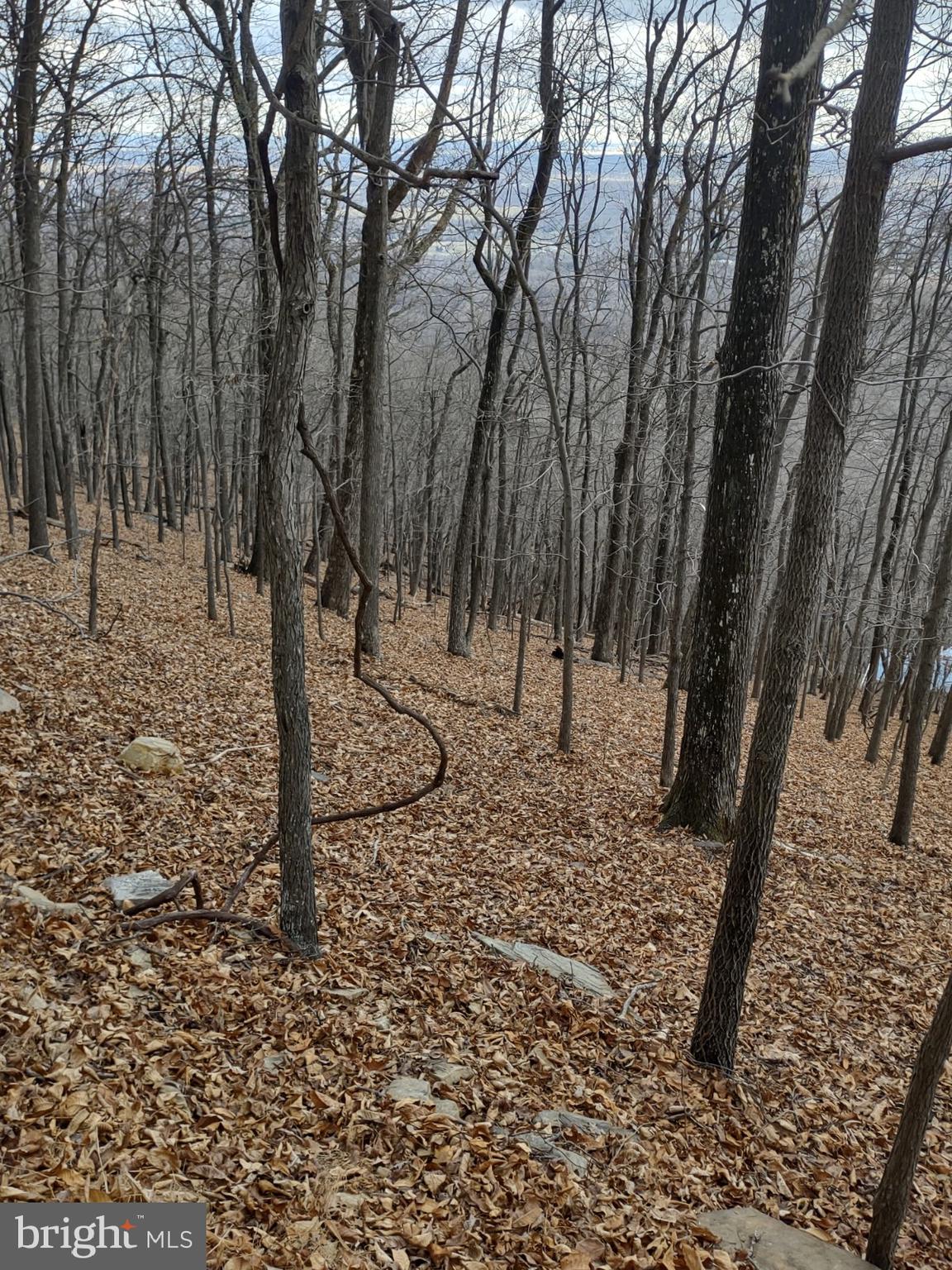 2201 & 2203 LOOKOUT ROAD