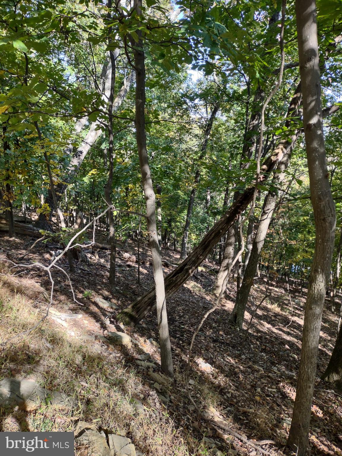 2201 & 2203 LOOKOUT ROAD