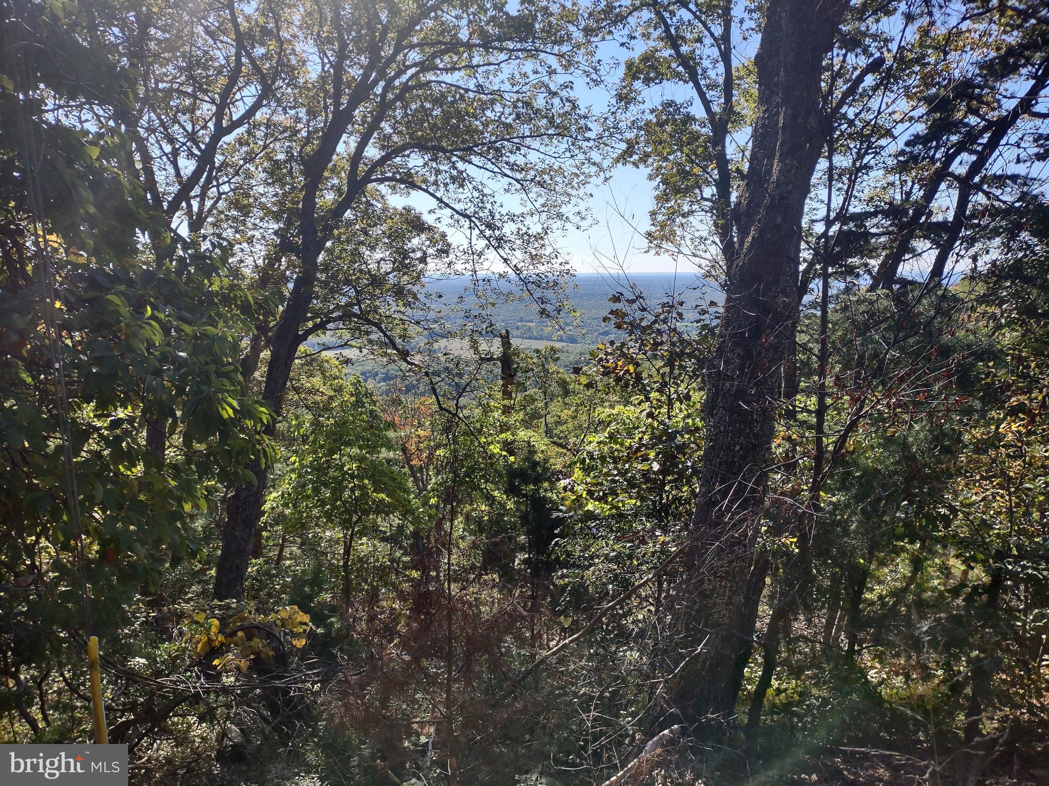 2201 & 2203 LOOKOUT ROAD