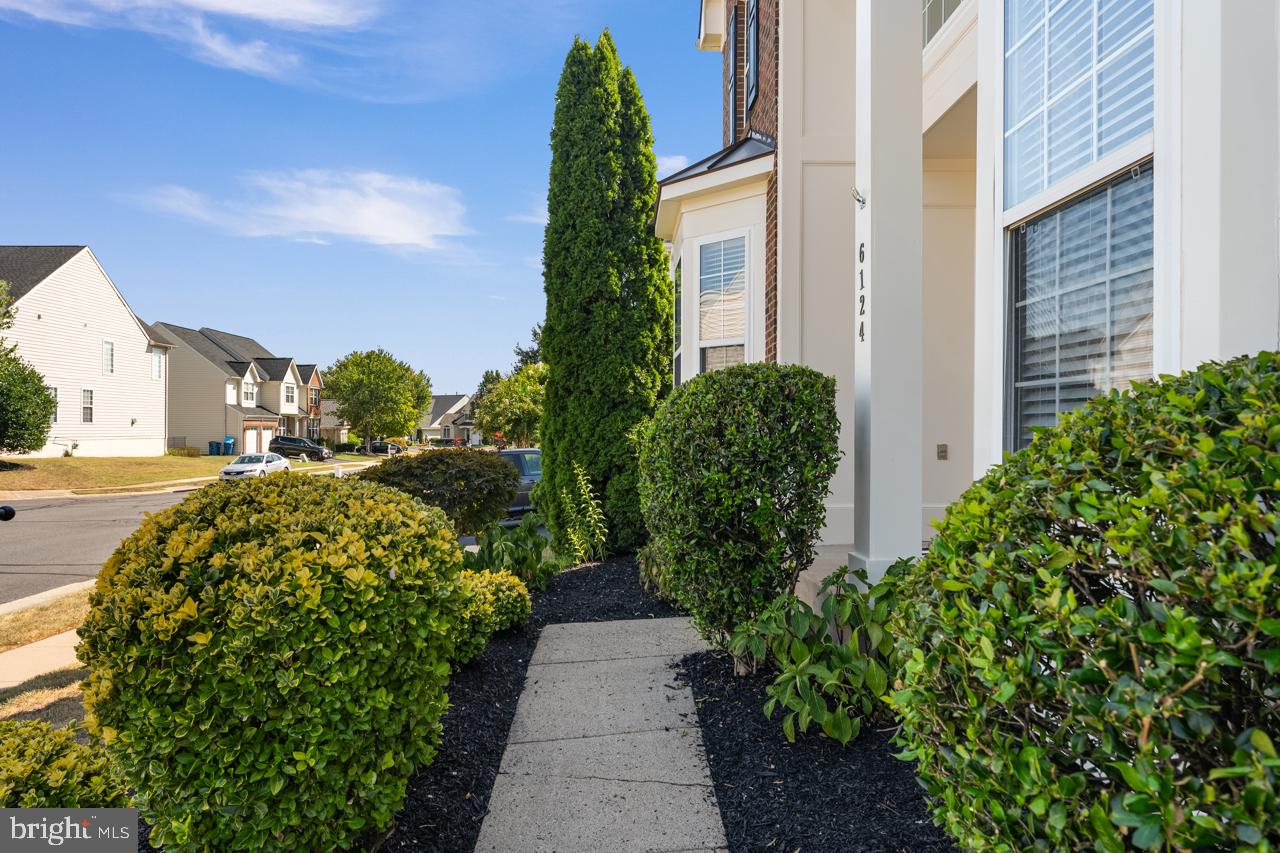 6124 MICHENER DRIVE