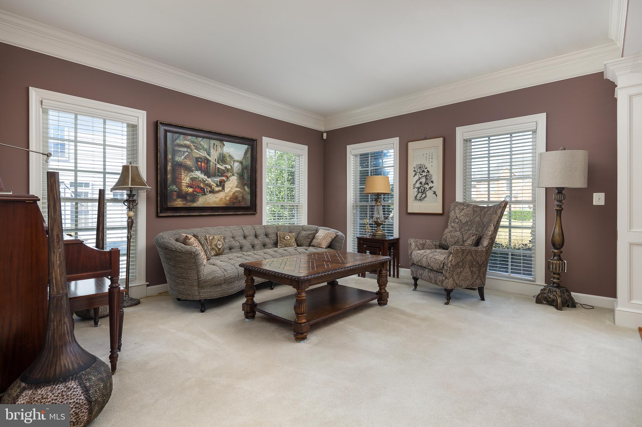 14208 SNICKERSVILLE DRIVE