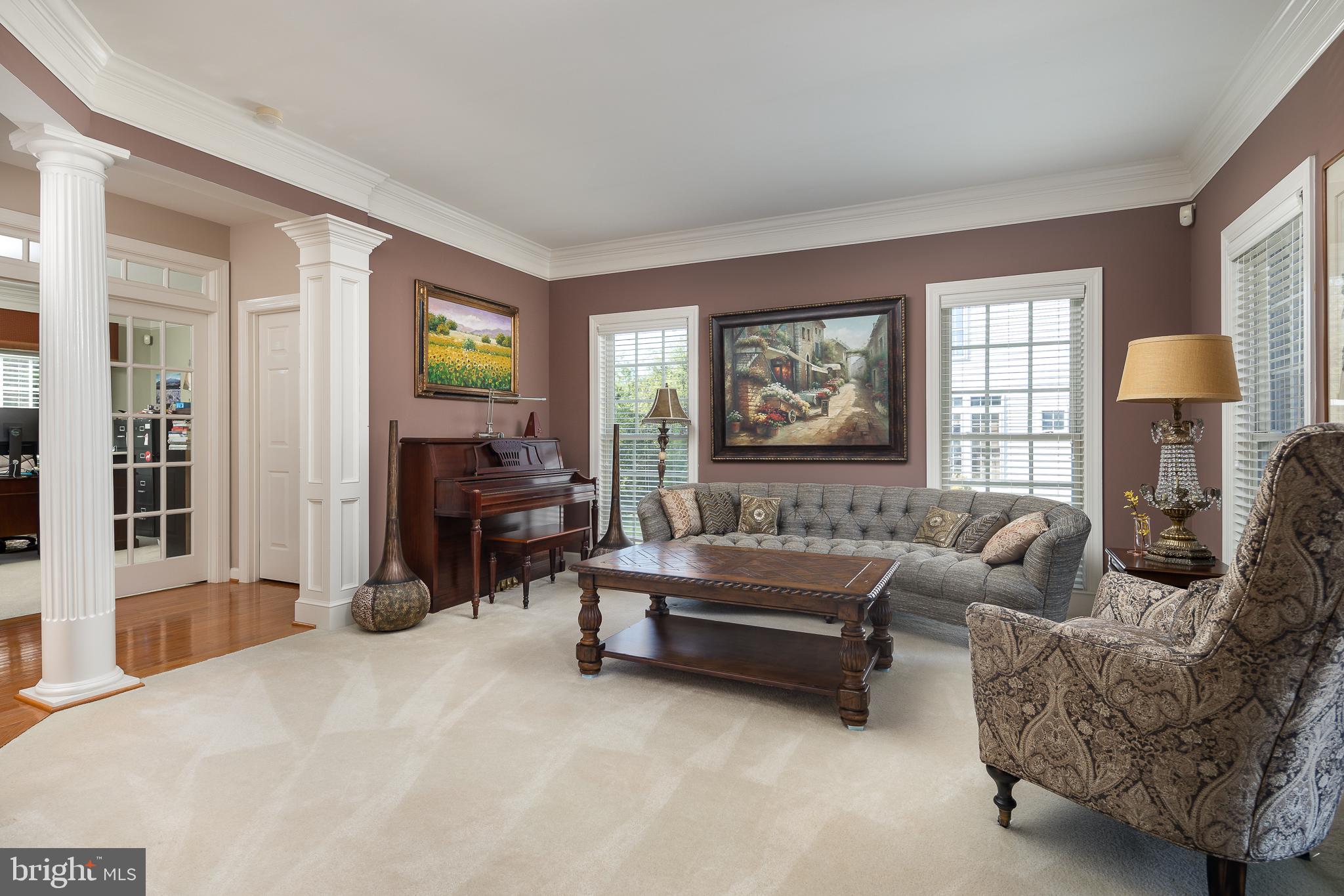 14208 SNICKERSVILLE DRIVE