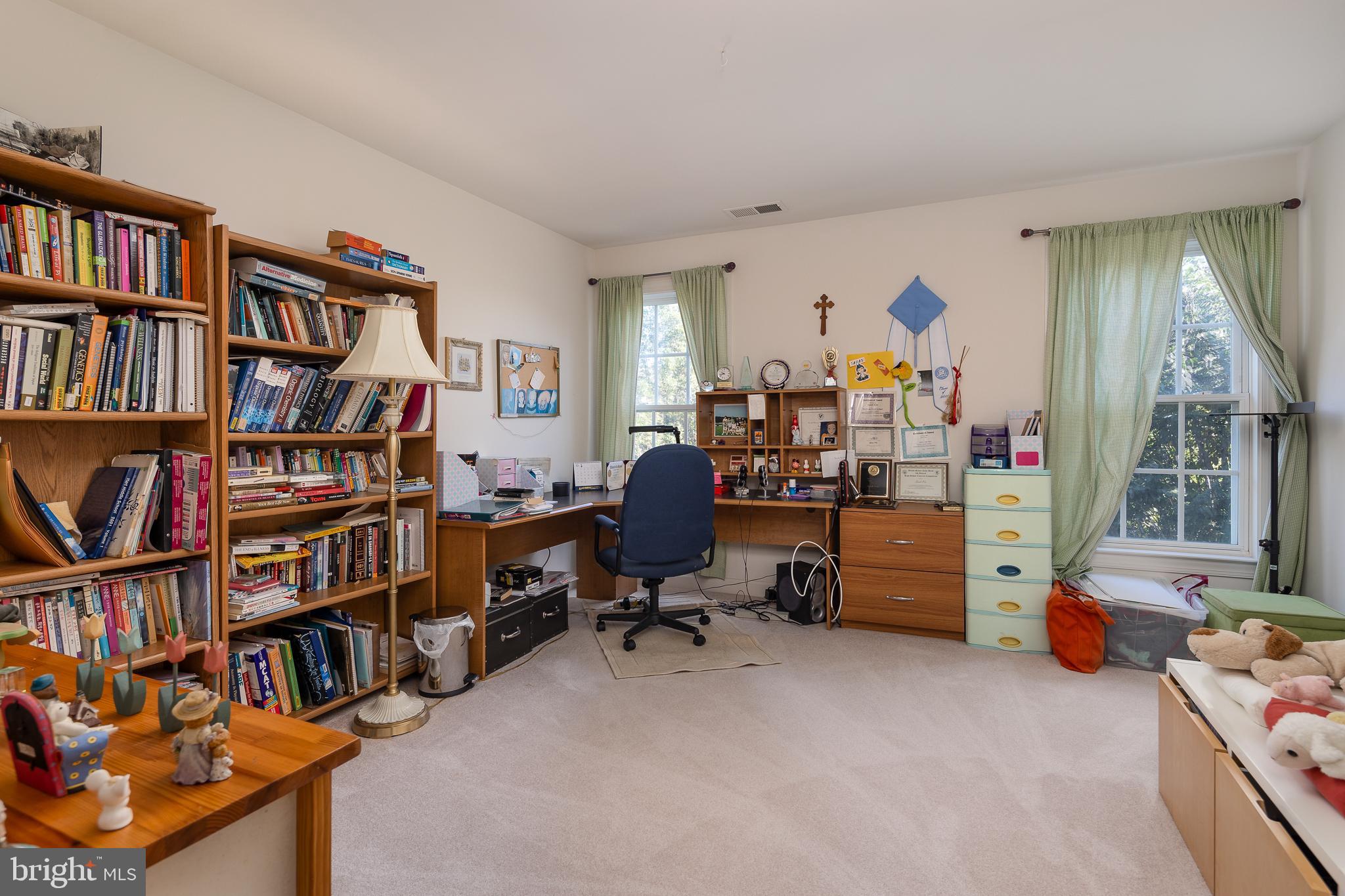14208 SNICKERSVILLE DRIVE