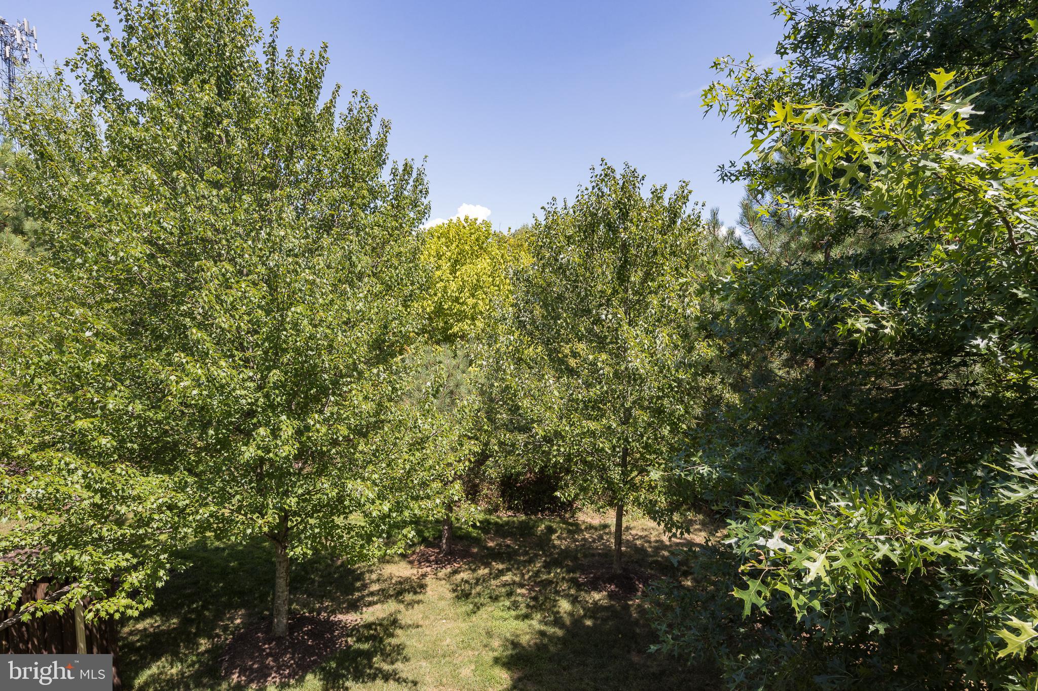 15864 LEE CARTER ROAD