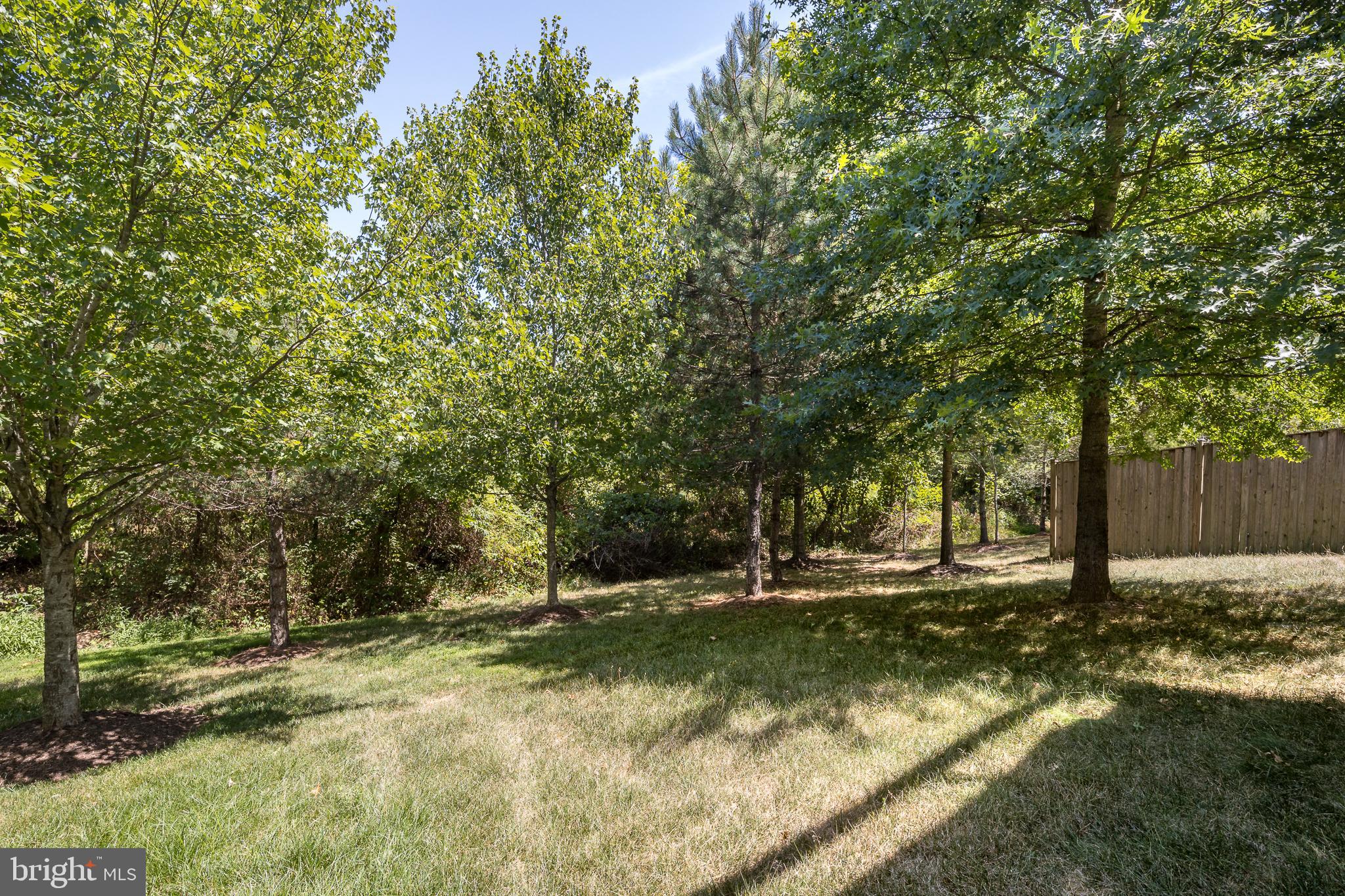 15864 LEE CARTER ROAD