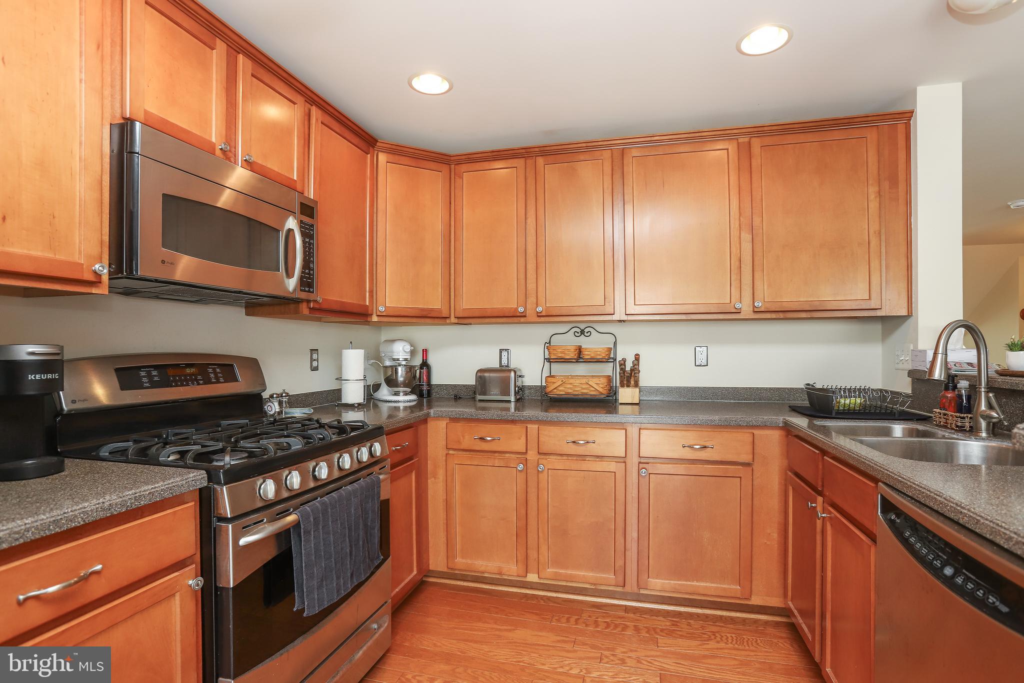 15284 ROSEMONT MANOR DRIVE