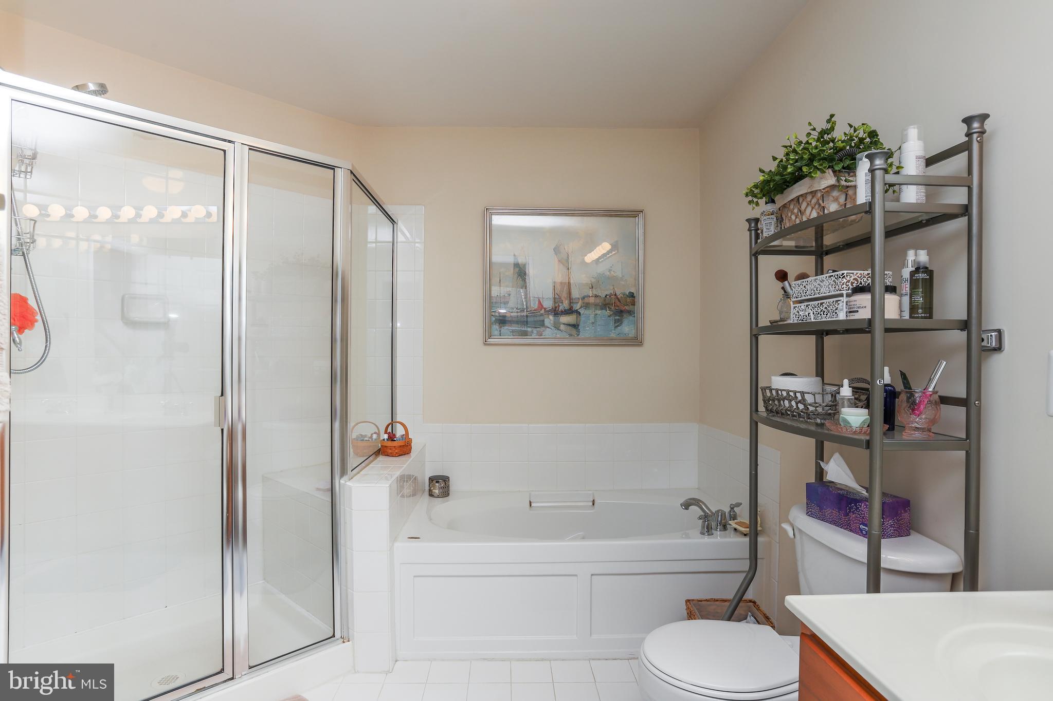 15284 ROSEMONT MANOR DRIVE