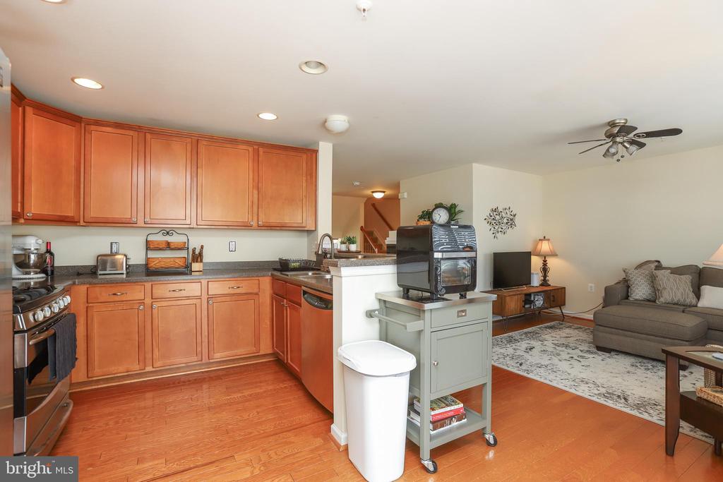 15284 ROSEMONT MANOR DRIVE