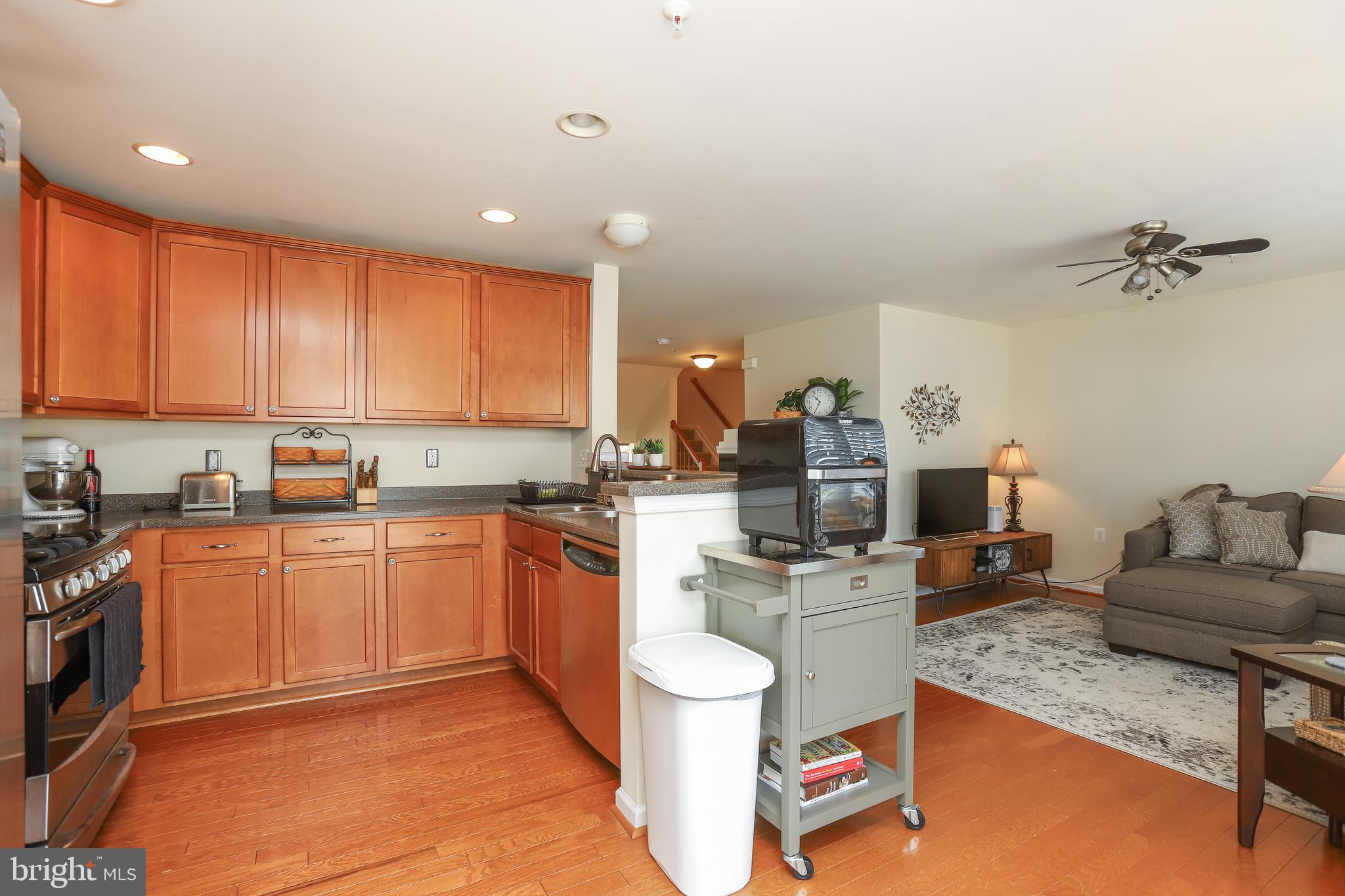 15284 ROSEMONT MANOR DRIVE