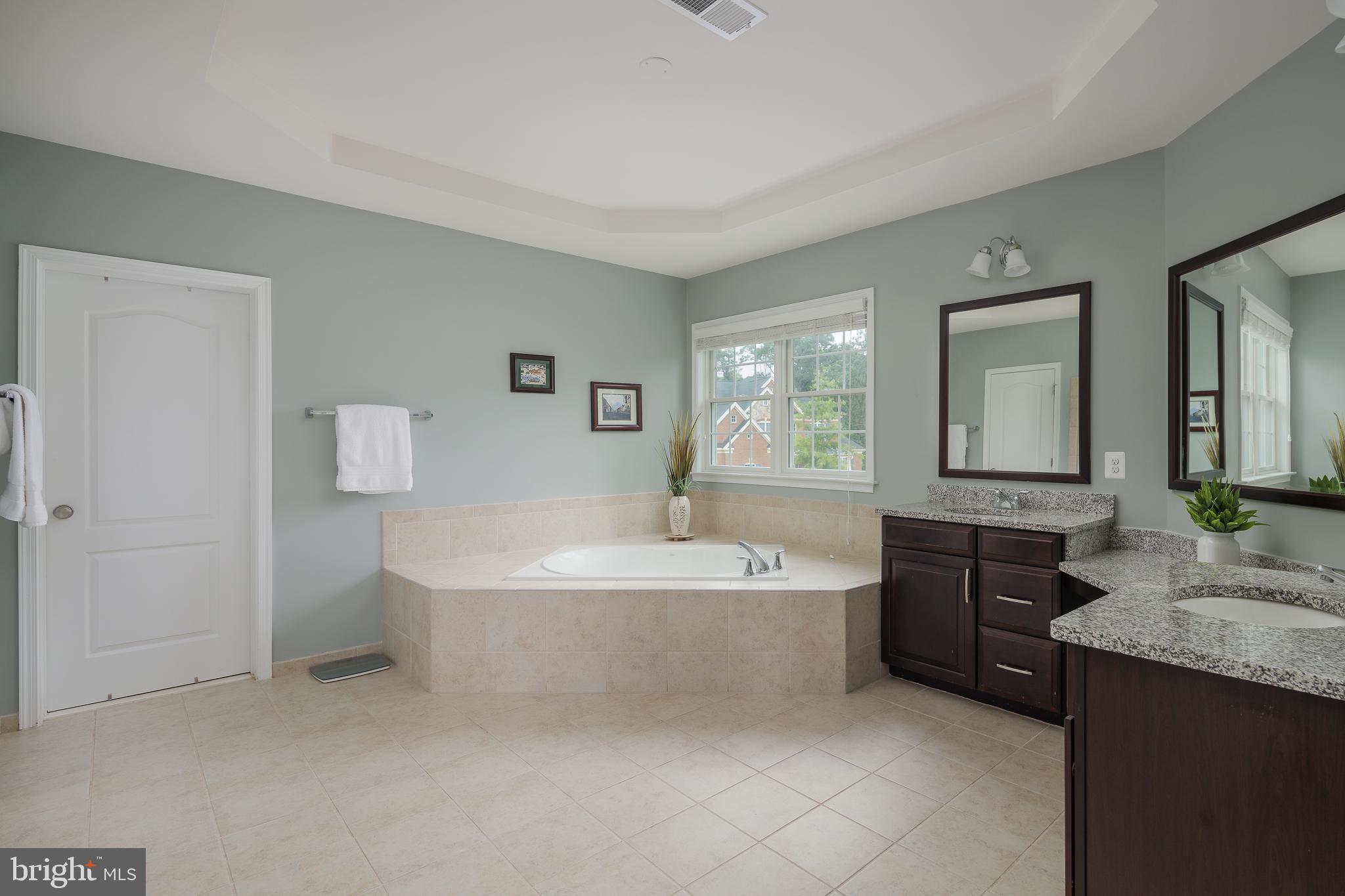 4495 DODDS MILL DRIVE
