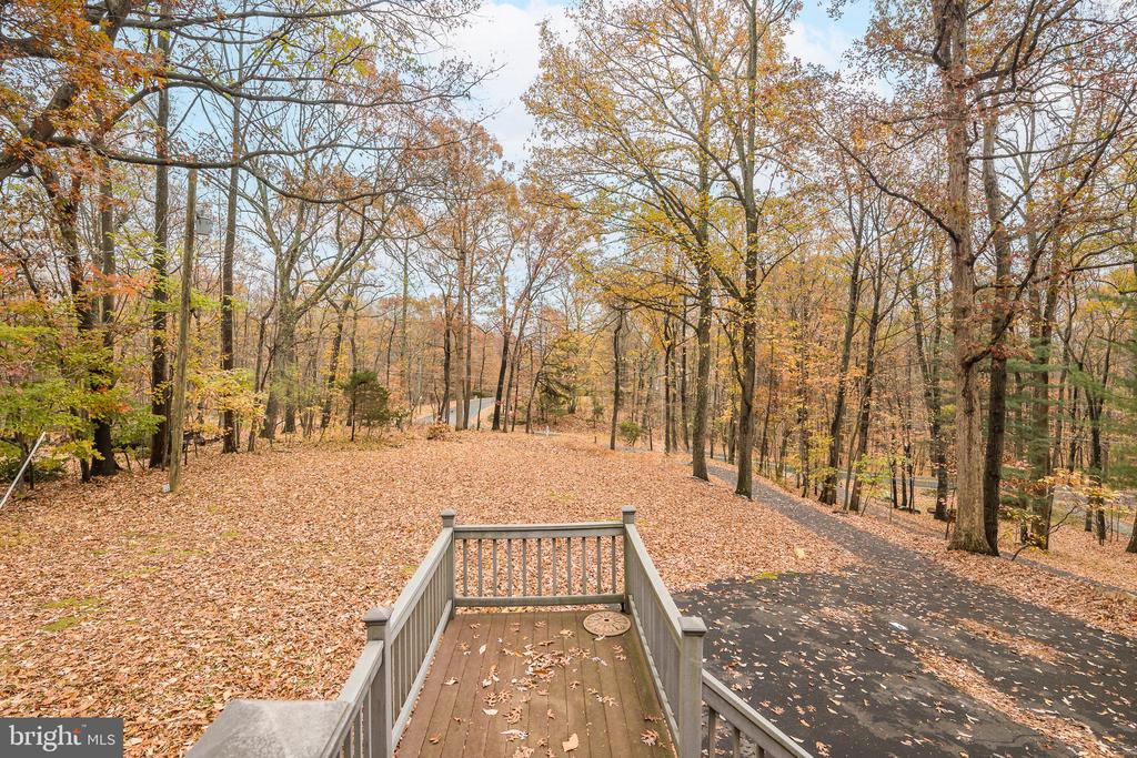 1608 MOUNTAIN ROAD