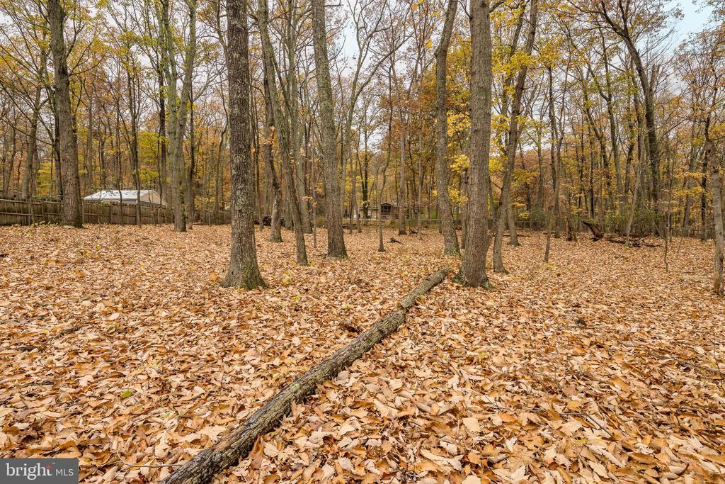 1608 MOUNTAIN ROAD