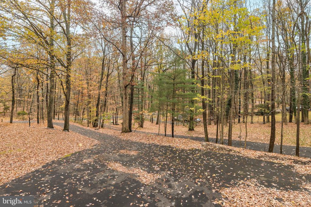 1608 MOUNTAIN ROAD