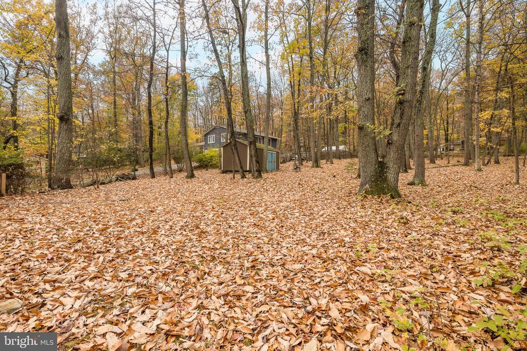 1608 MOUNTAIN ROAD