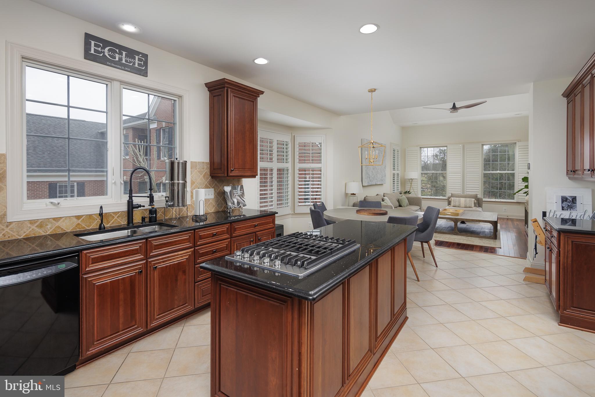 15713 ROTHSCHILD COURT