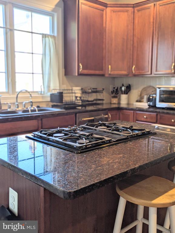 15080 VALHALLA COURT