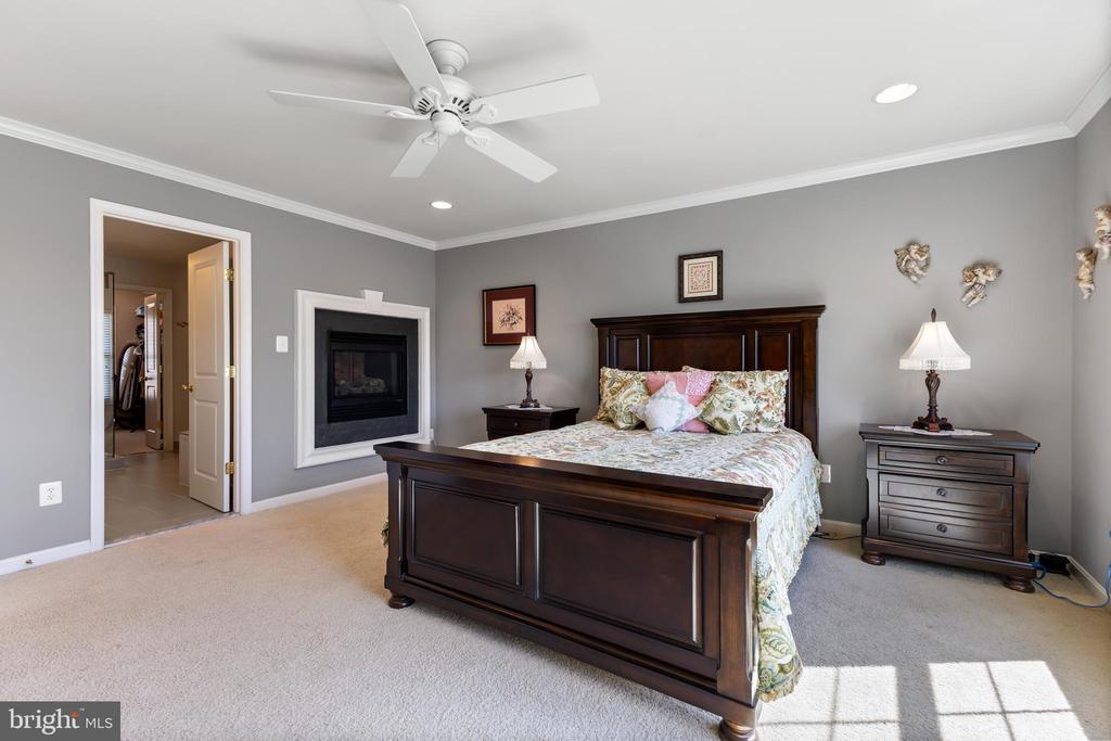 9146 RIBBON FALLS LOOP