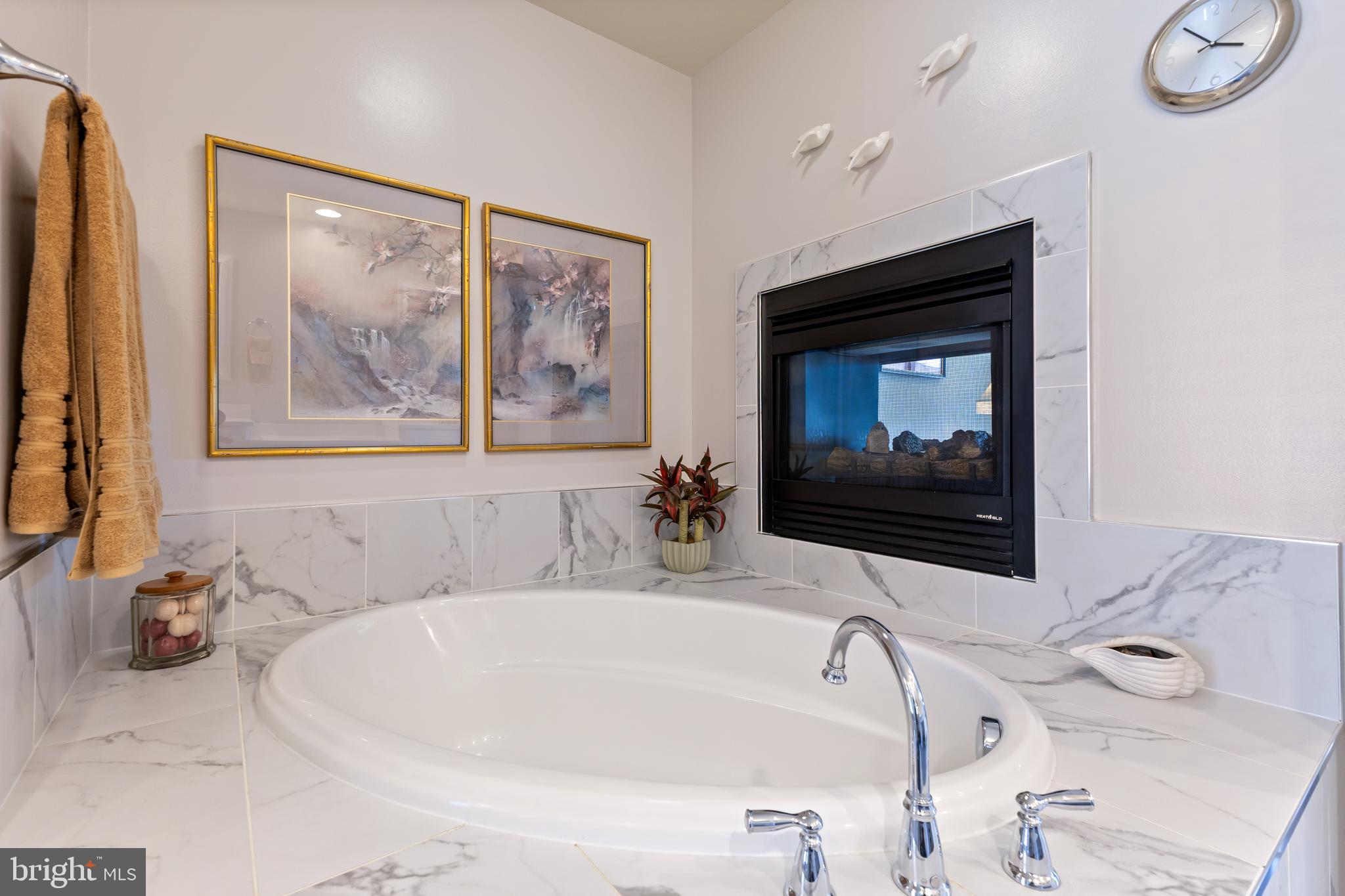 9146 RIBBON FALLS LOOP