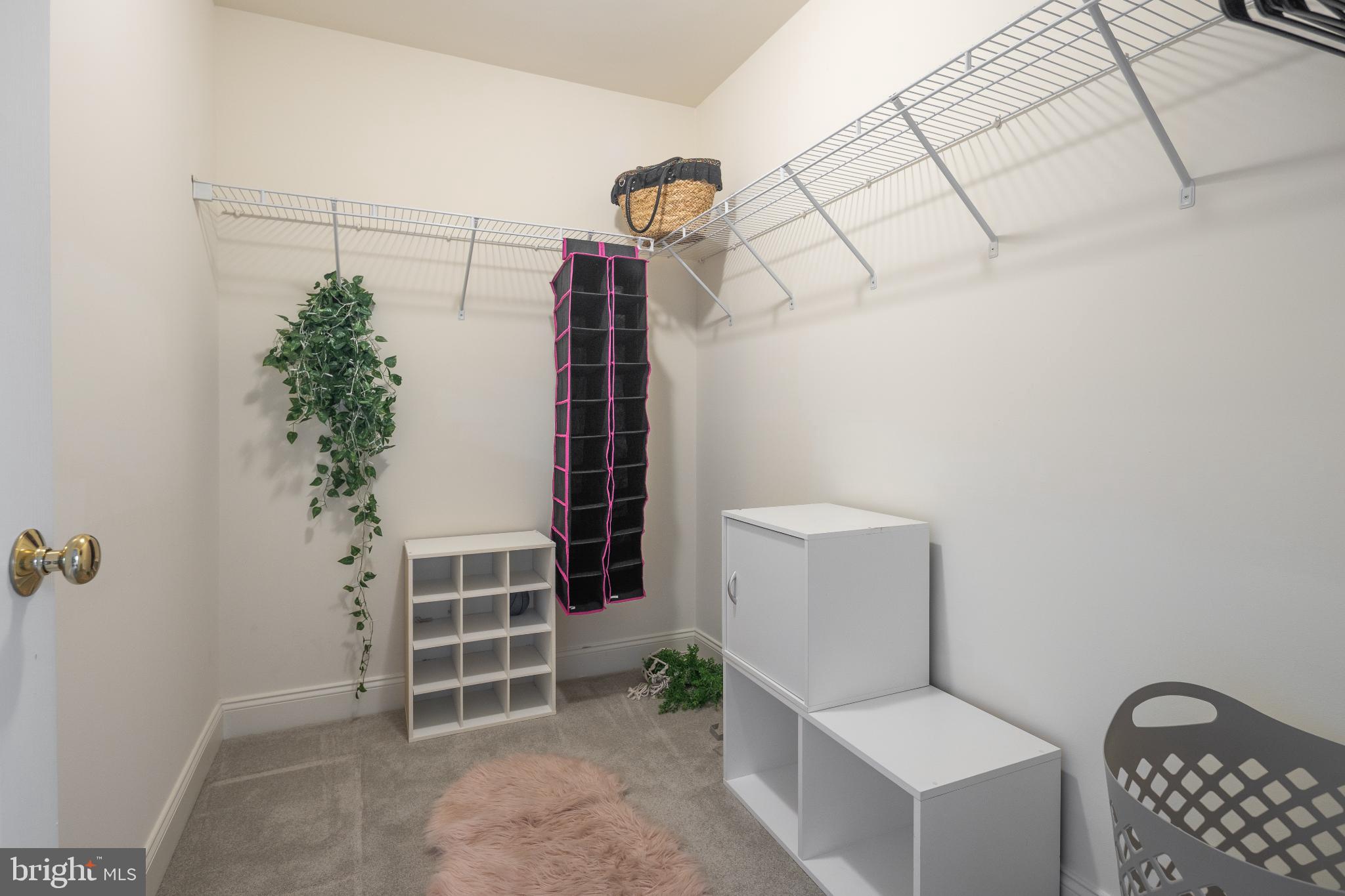 5923 INTERLACHEN COURT