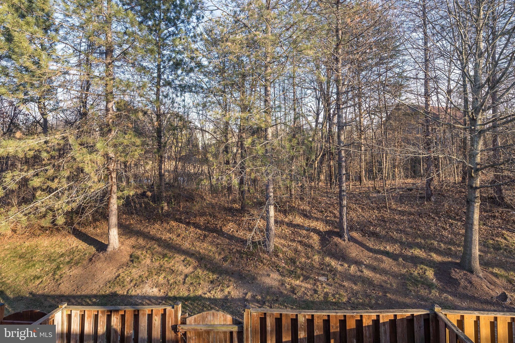 12151 DRUM SALUTE PLACE