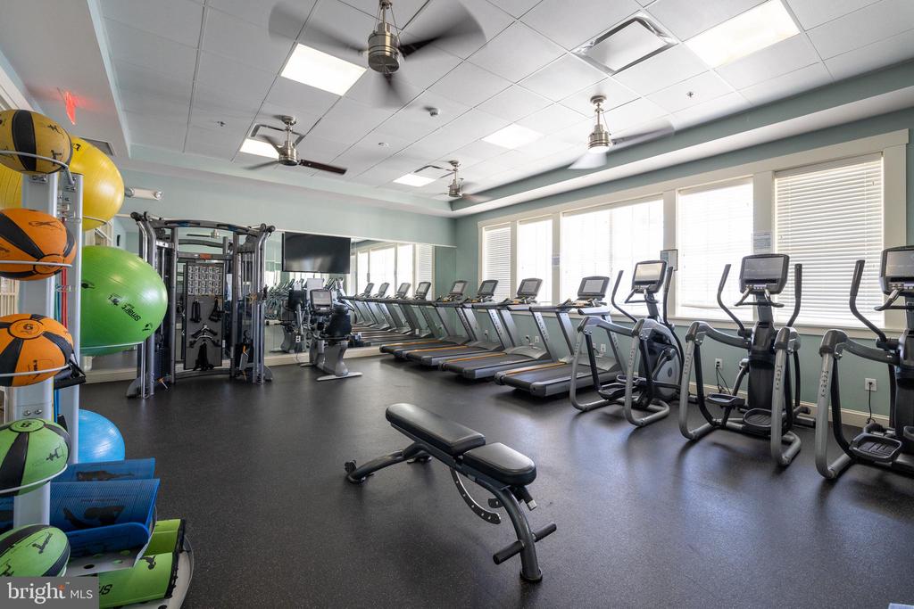 15709 TANNING HOUSE PLACE