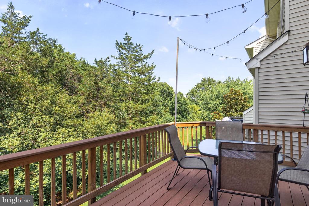 14248 HUNTERS RUN WAY