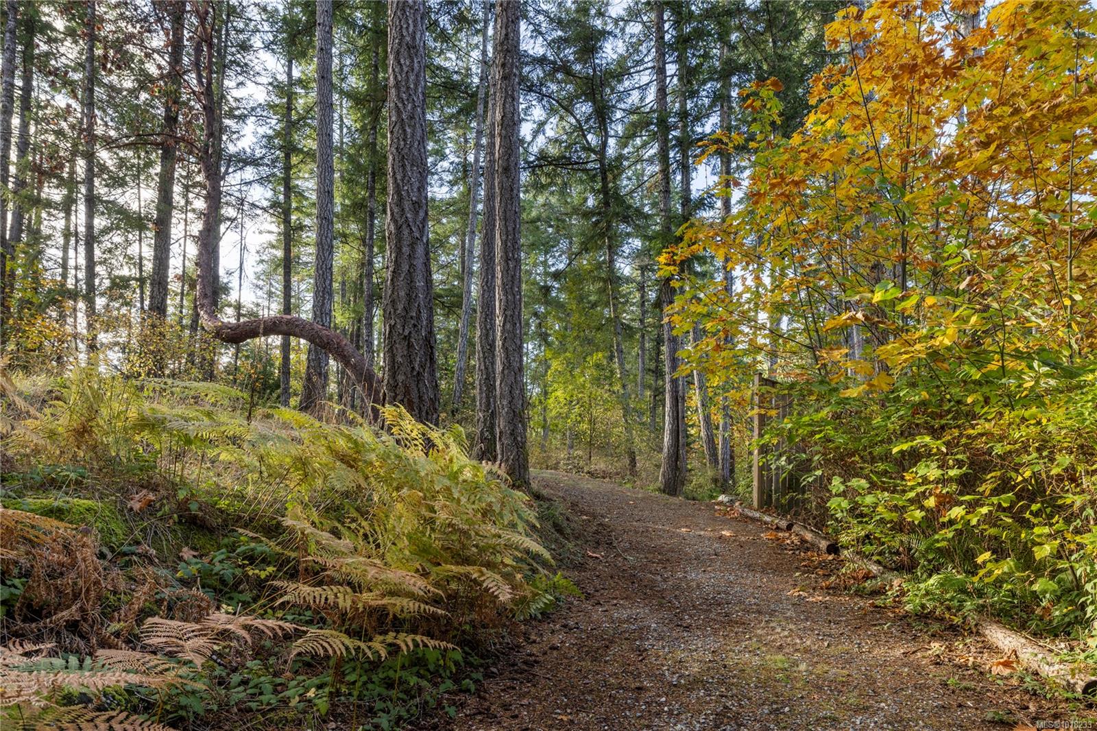 3920 Yellow Point Rd, Ladysmith