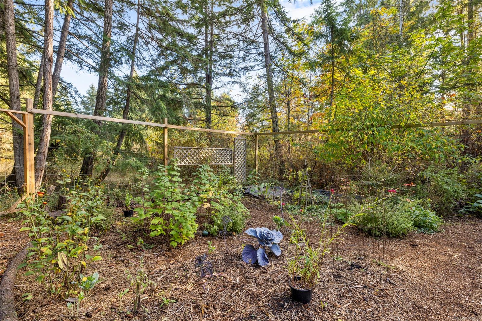 3920 Yellow Point Rd, Ladysmith