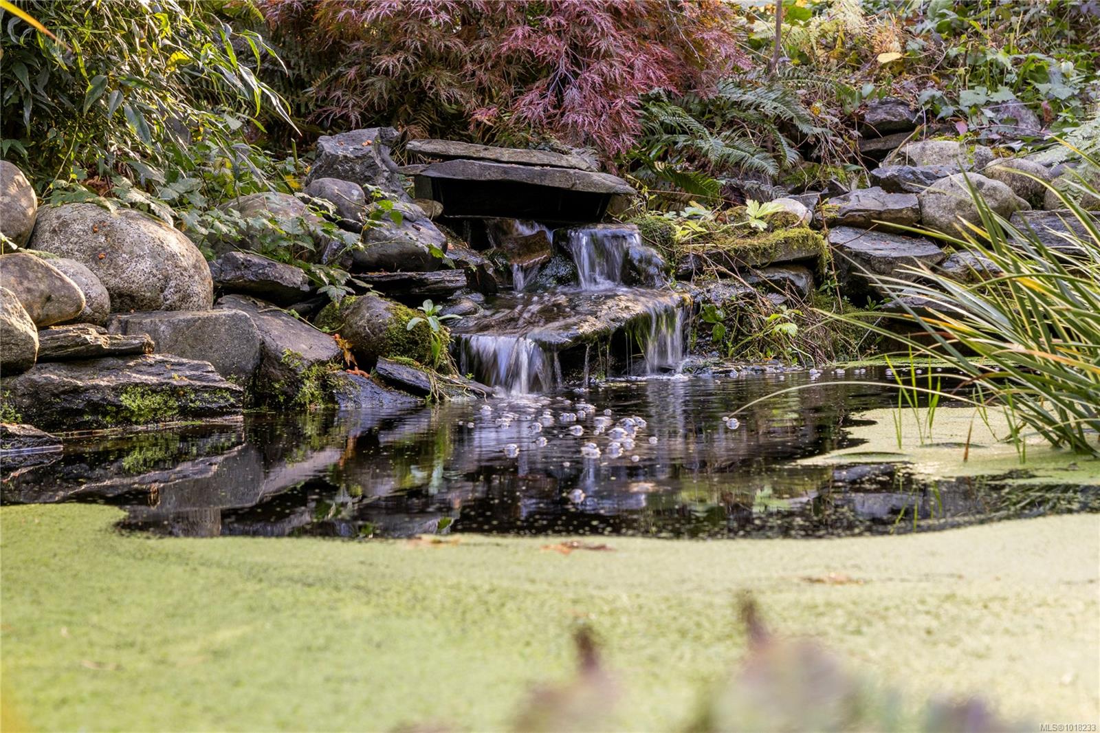 3920 Yellow Point Rd, Ladysmith