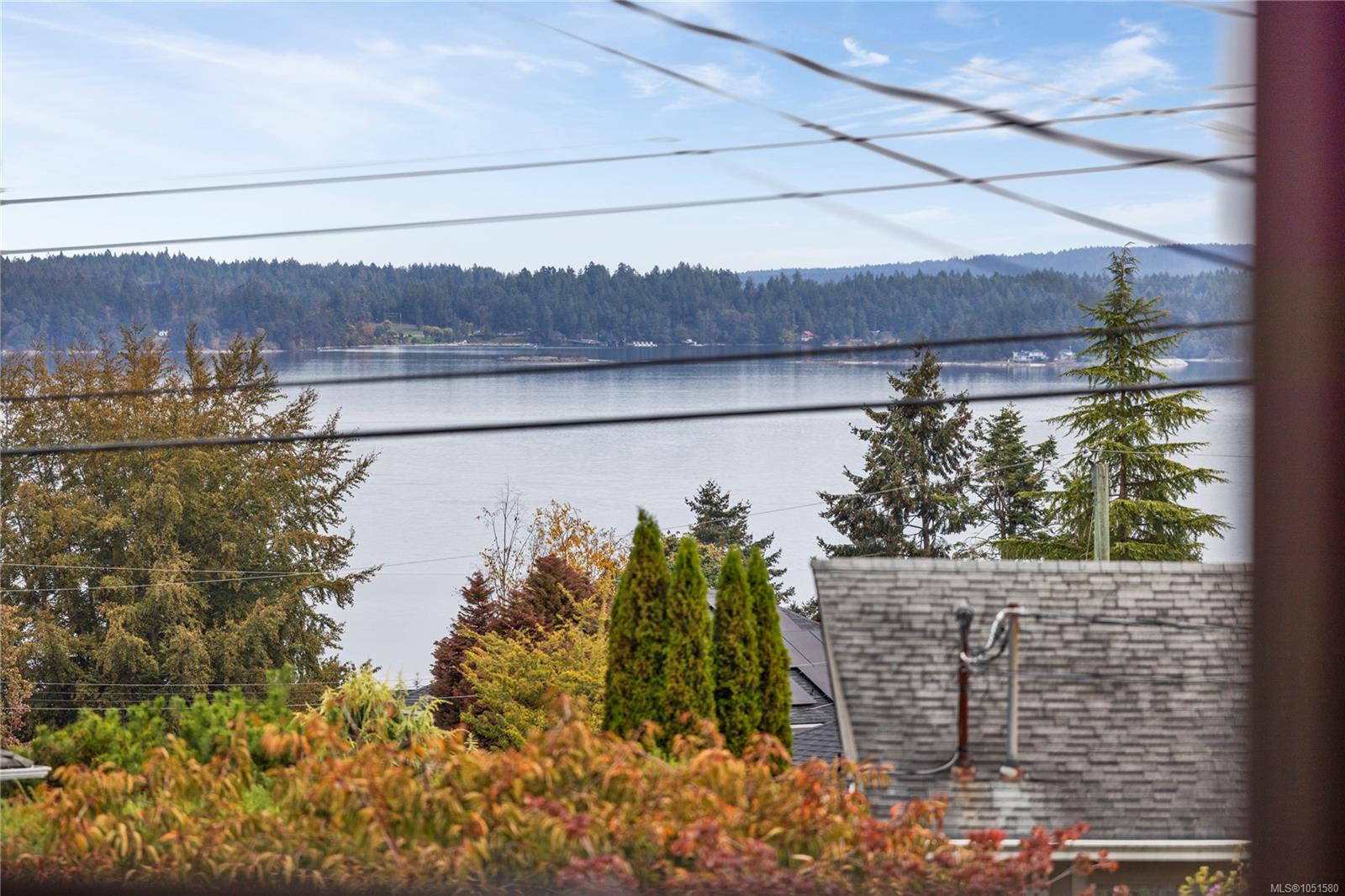 Calm inlet and forested shoreline viewed over autumn trees and nearby rooftops.