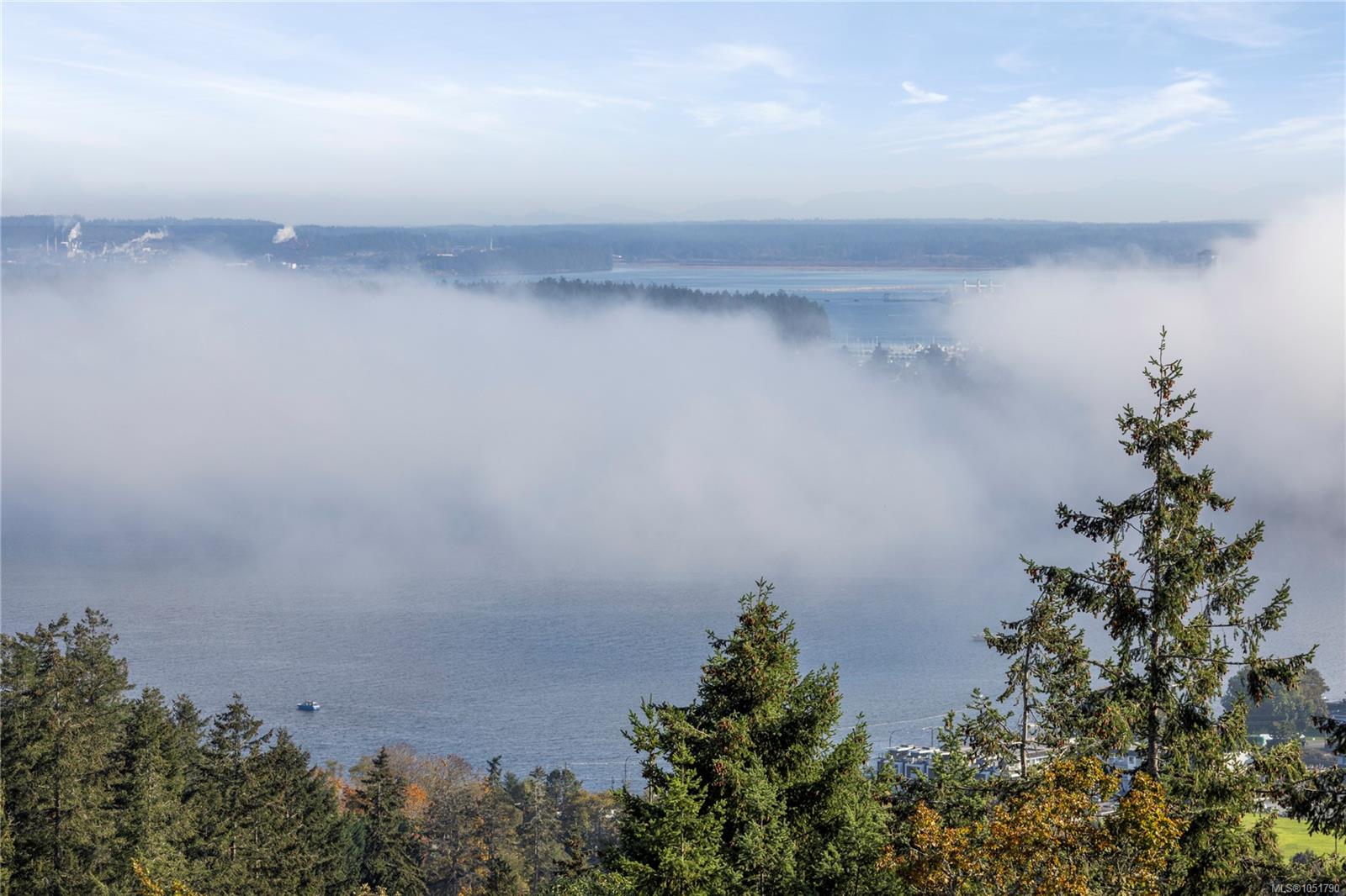Coastal water and forested shoreline partly covered by low clouds, viewed through foreground evergreens.