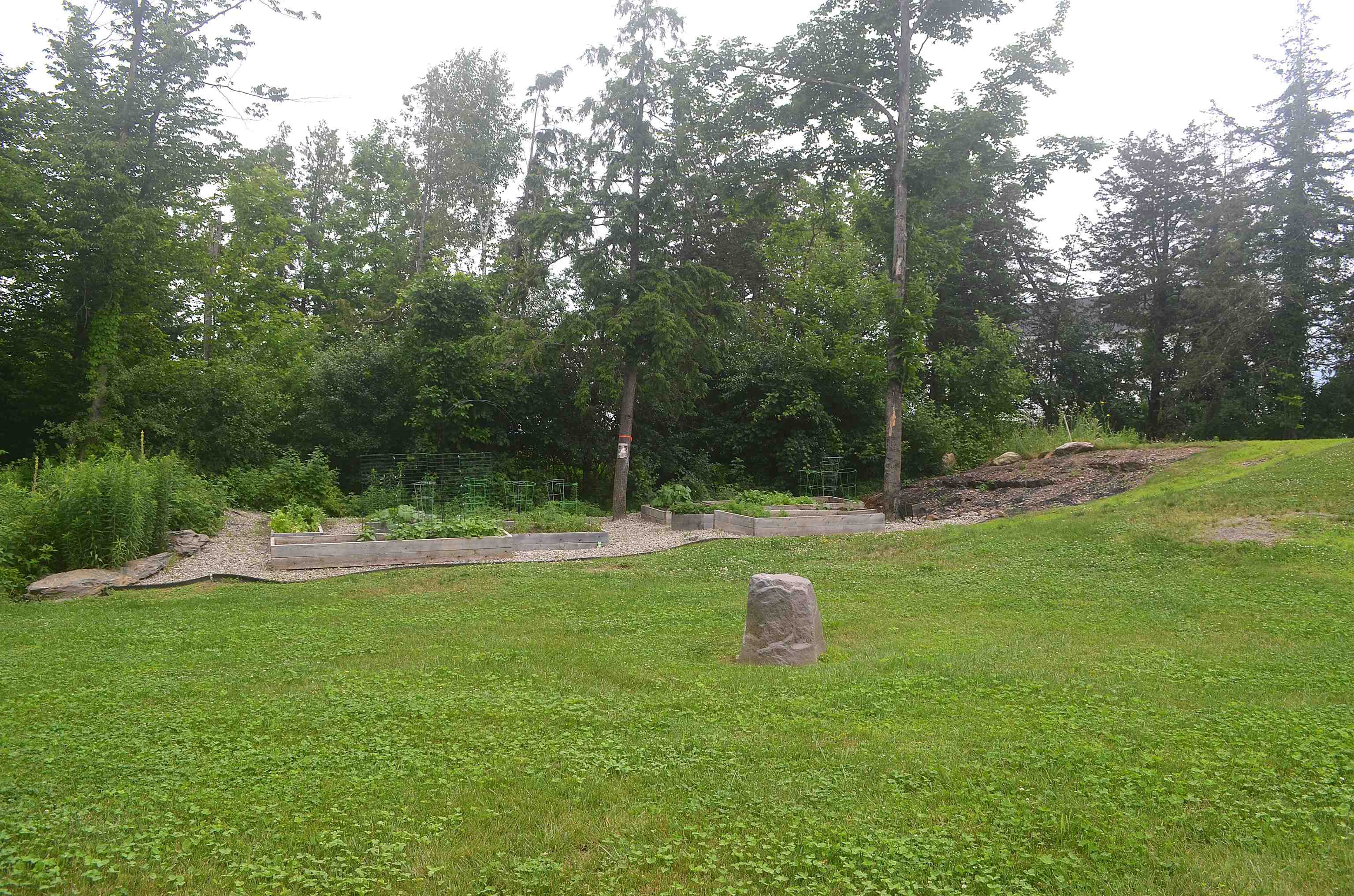 226 Napoleon Drive