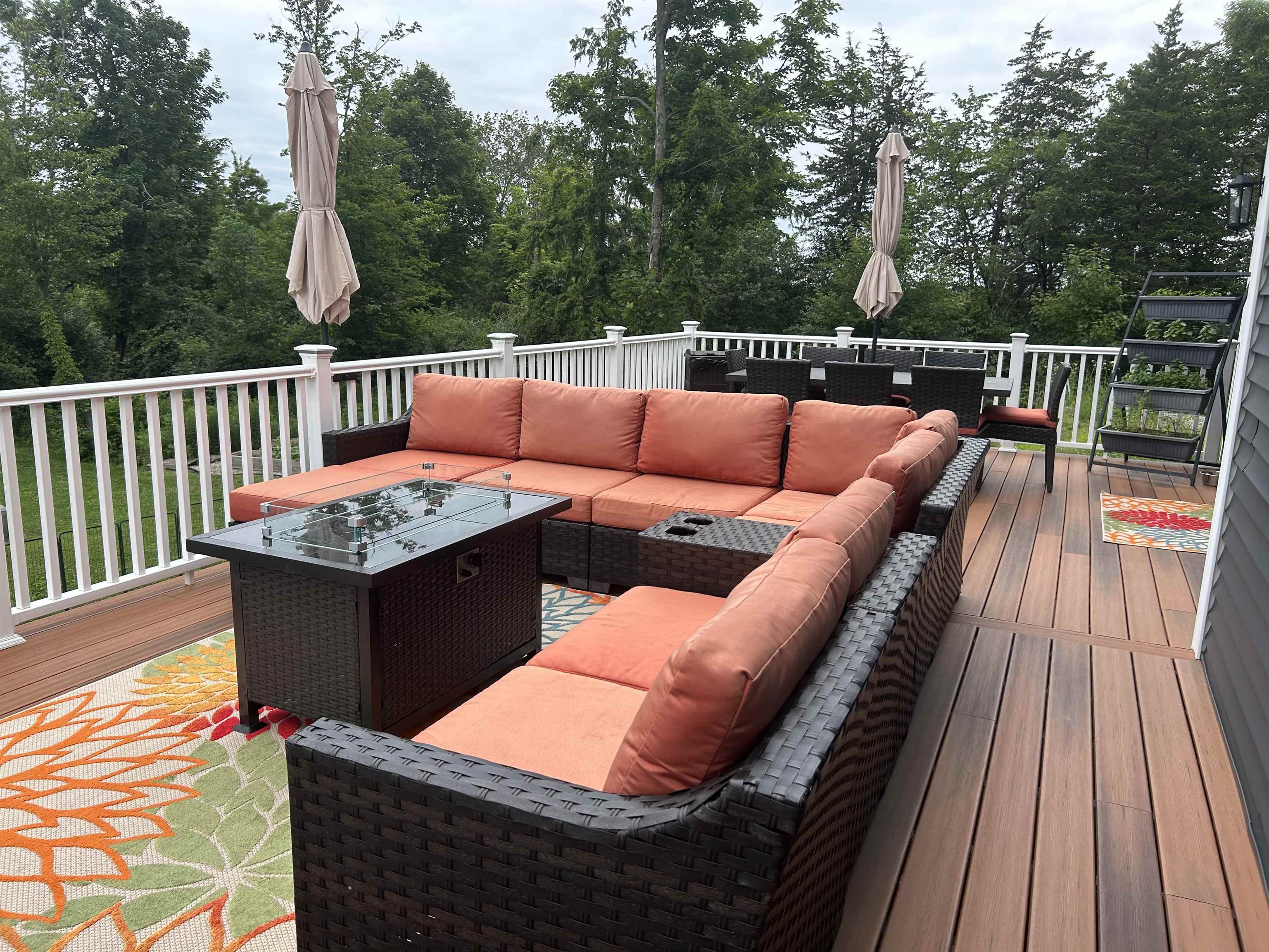 226 Napoleon Drive
