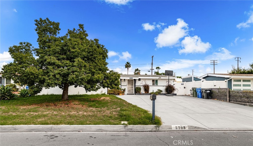 5208 N Leaf