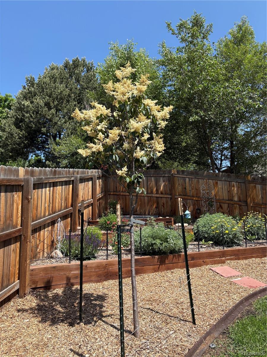 3160 Westcliff Drive