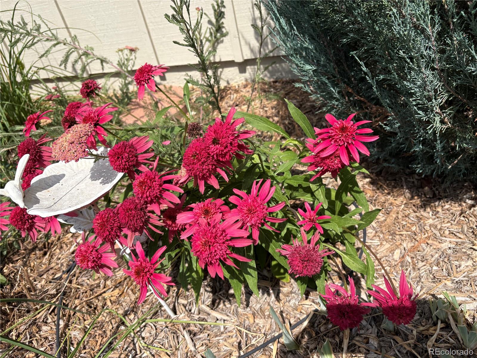 3160 Westcliff Drive