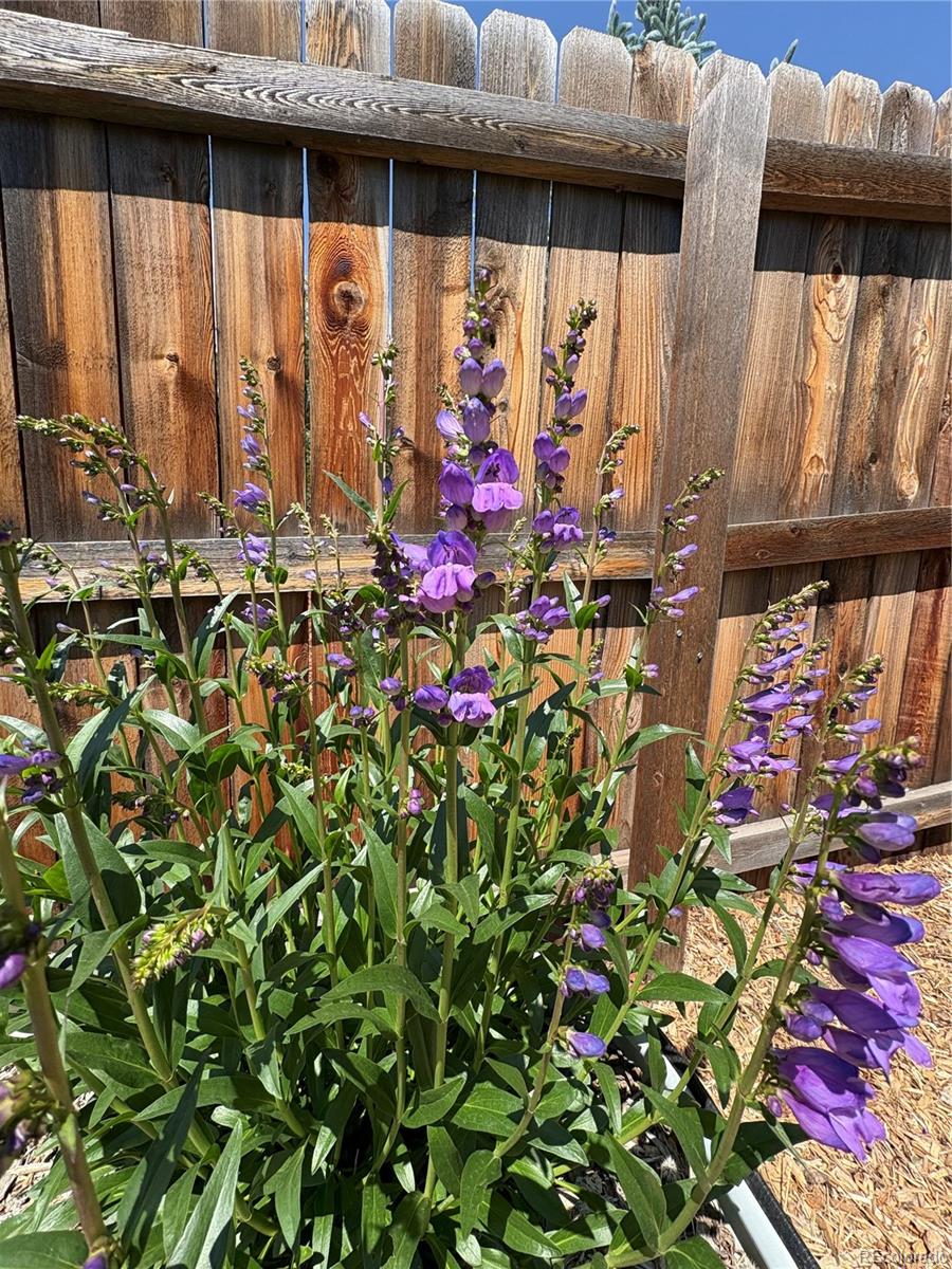 3160 Westcliff Drive