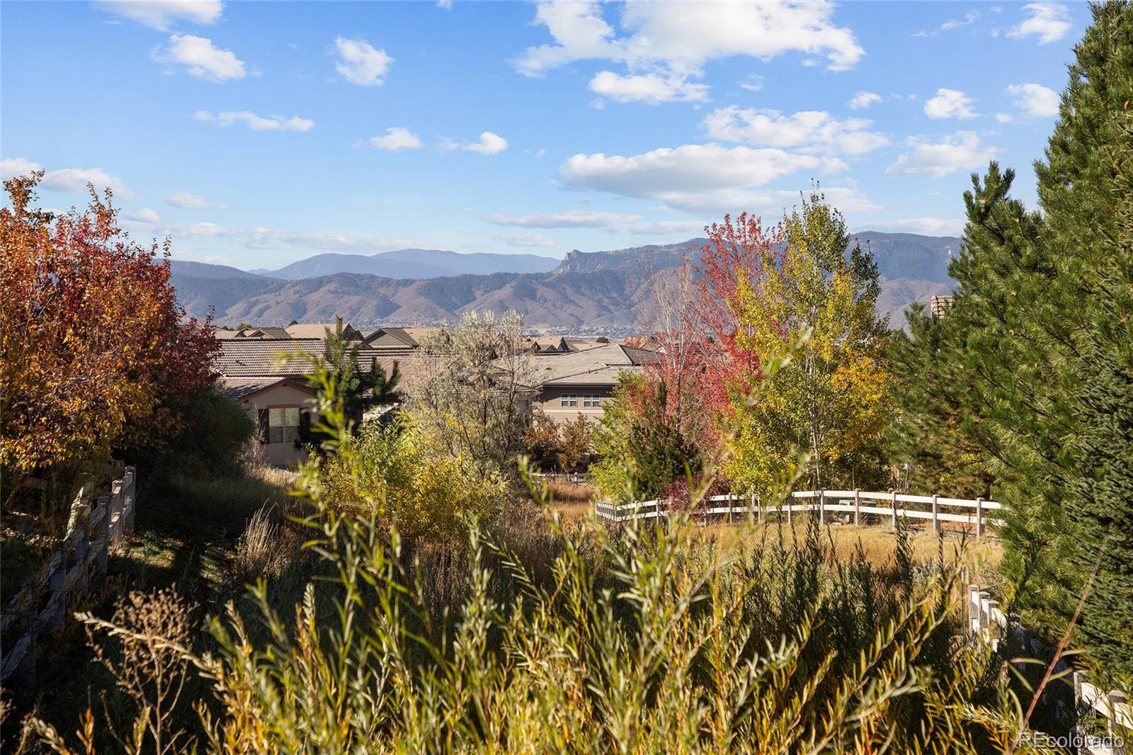 493 Meadowleaf Lane