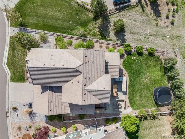 703 Tiger Lily Way
