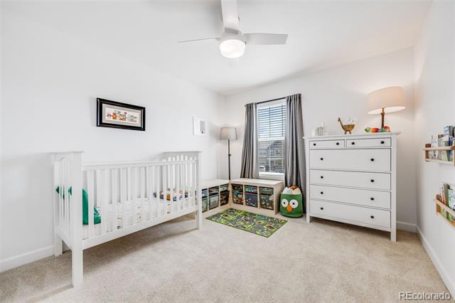 703 Tiger Lily Way