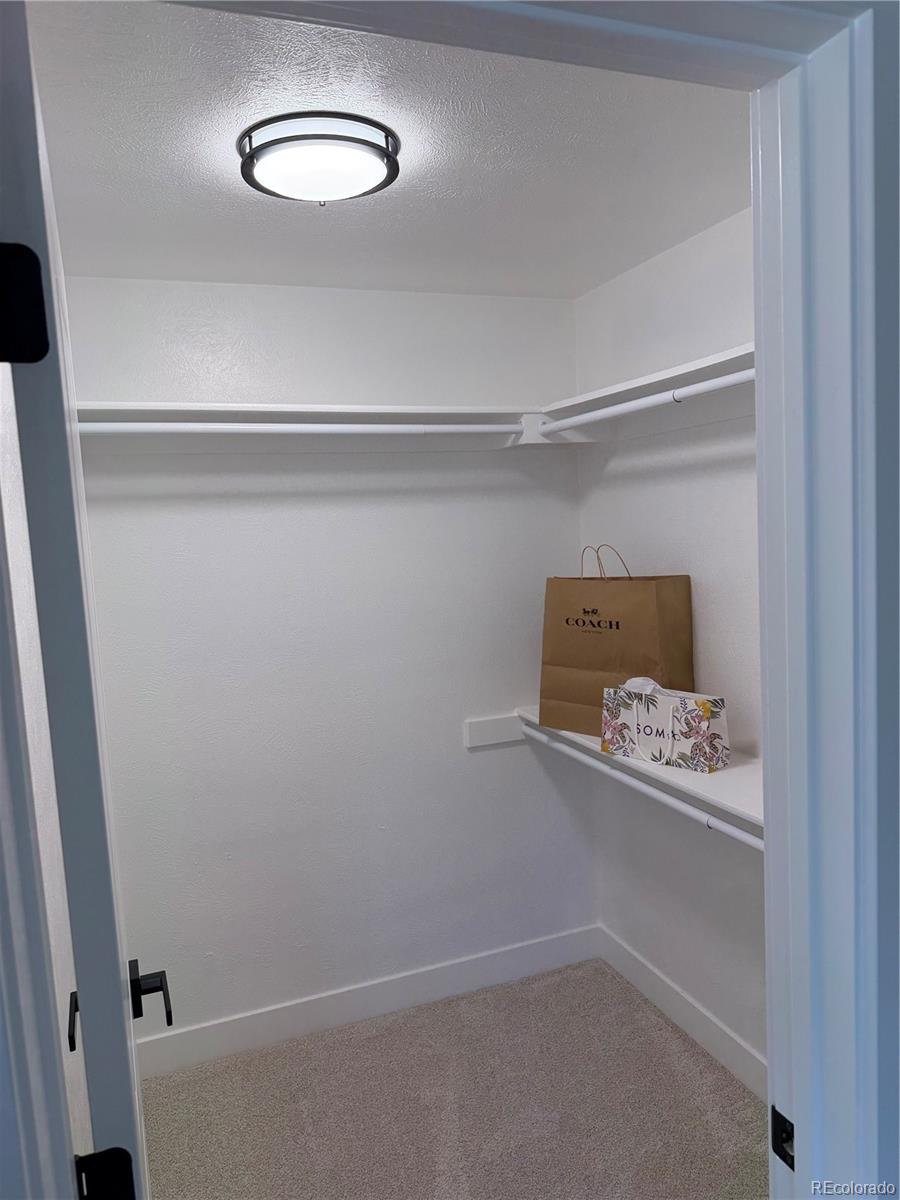 7037 S Newland Street